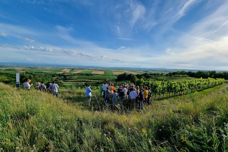 Fotos vom PGR Ausflug zum Weingut Mehofer